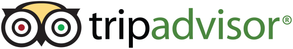tripadvisor webinar