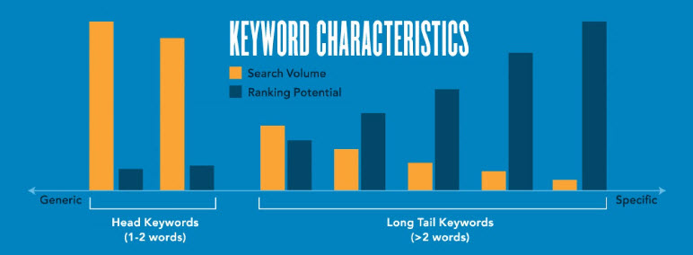 Ranking potential increases as the number of long tail keywords increases